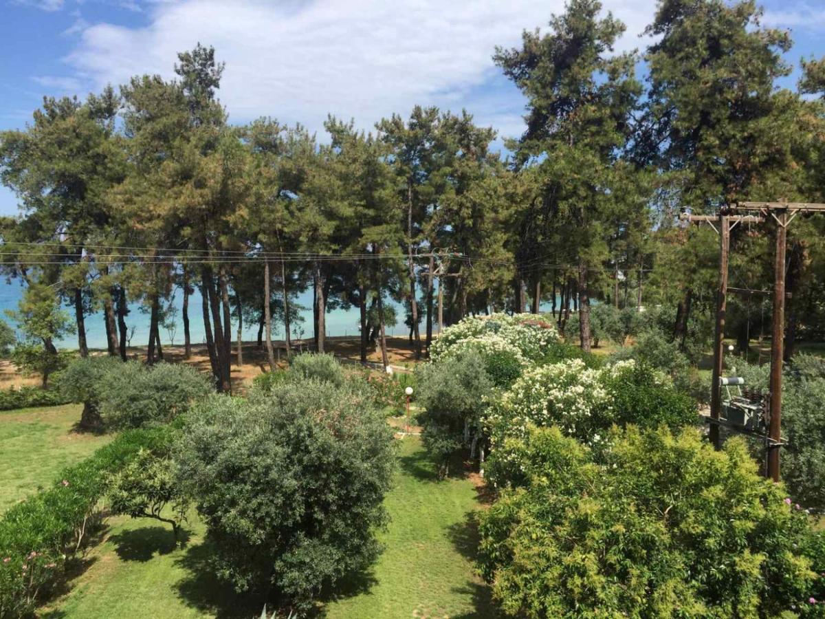 Apartamento Nisteri Seaside Limenas  Exterior foto