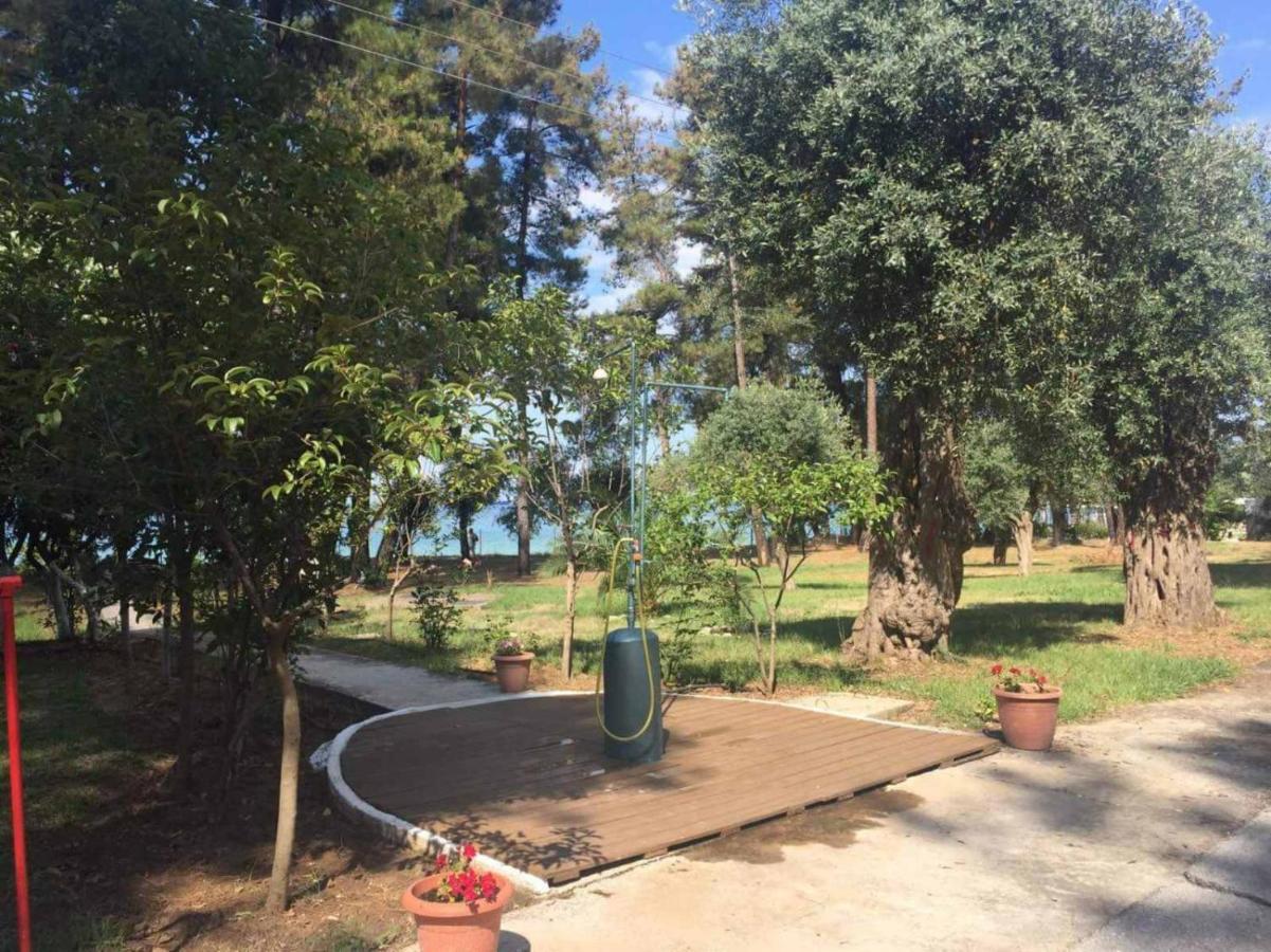 Apartamento Nisteri Seaside Limenas  Exterior foto